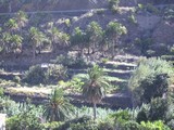 Bild-086.JPG