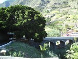 Bild-087.JPG